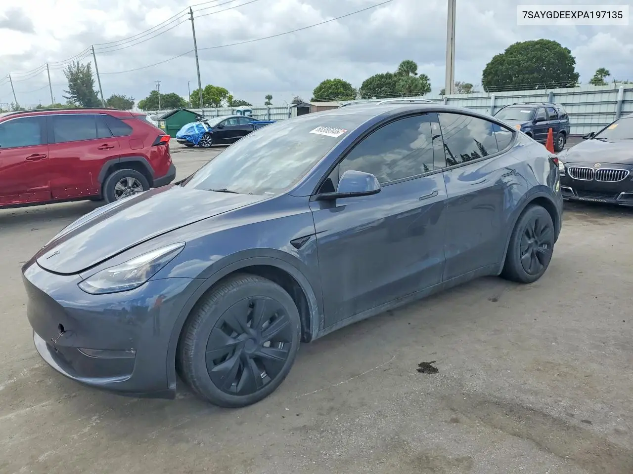 2023 Tesla Model Y