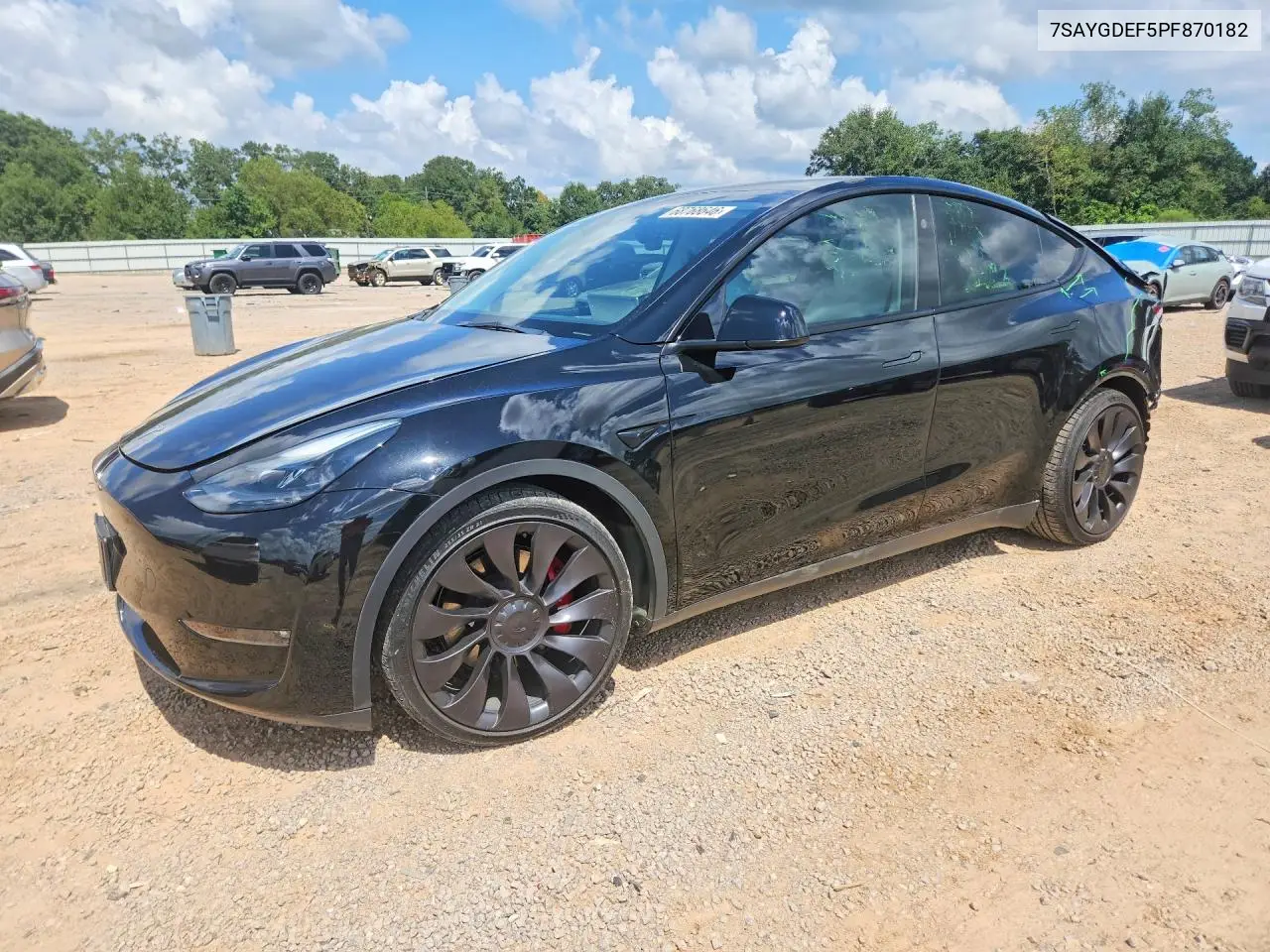 2023 Tesla Model Y