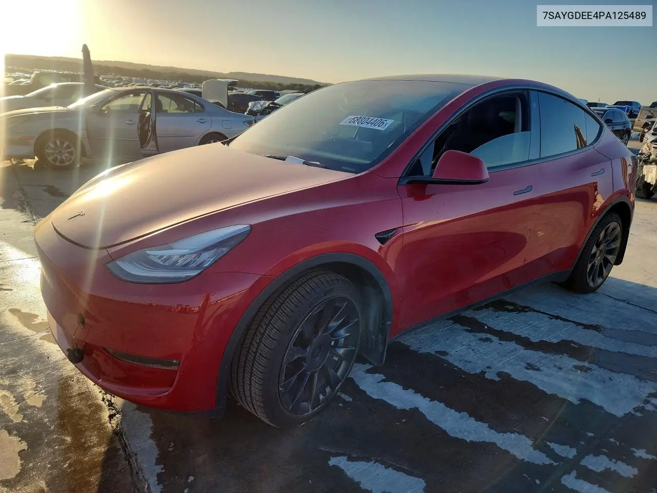 2023 Tesla Model Y