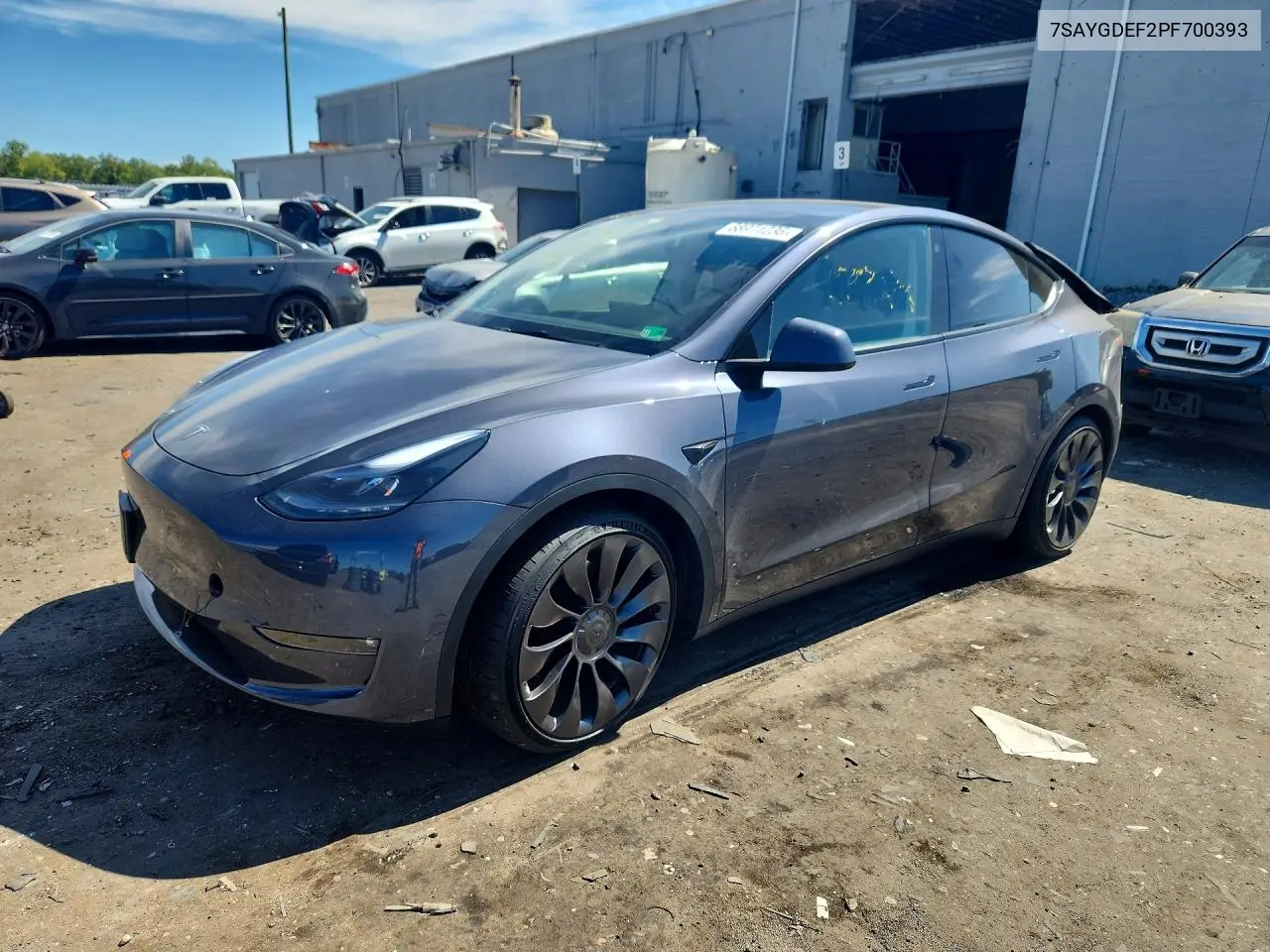 2023 Tesla Model Y
