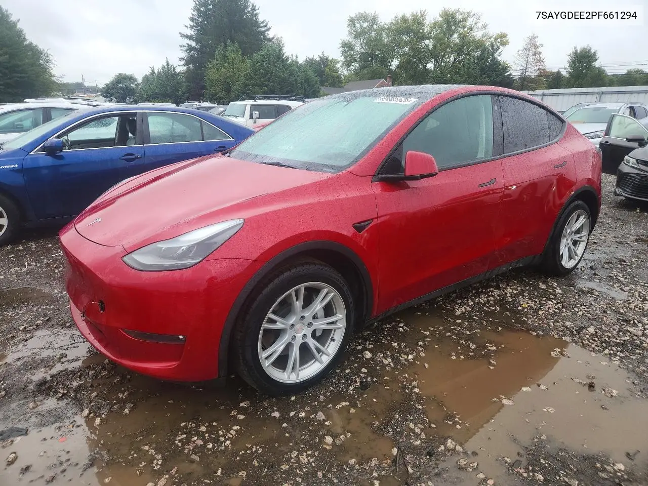 2023 Tesla Model Y