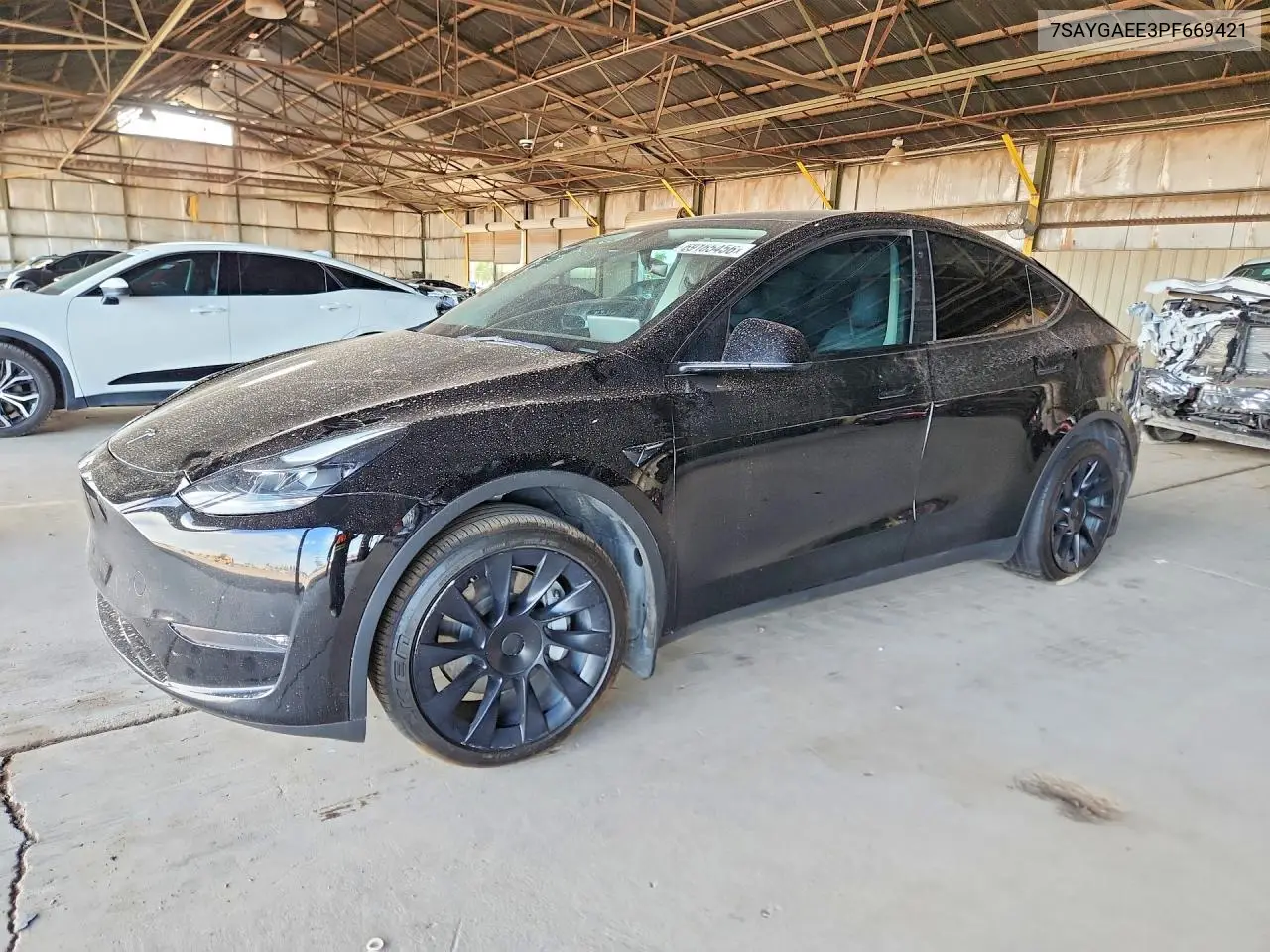 2023 Tesla Model Y