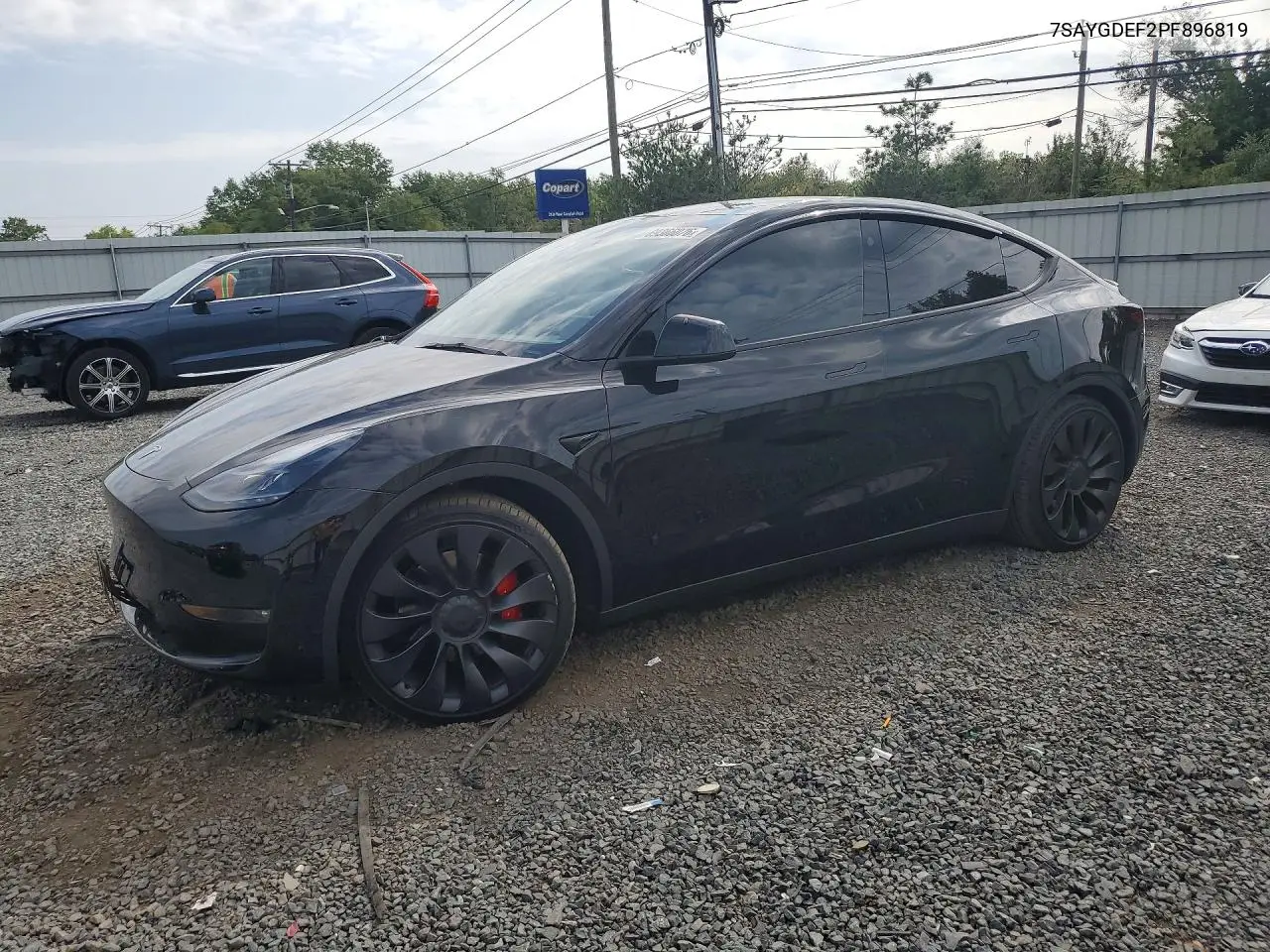 2023 Tesla Model Y