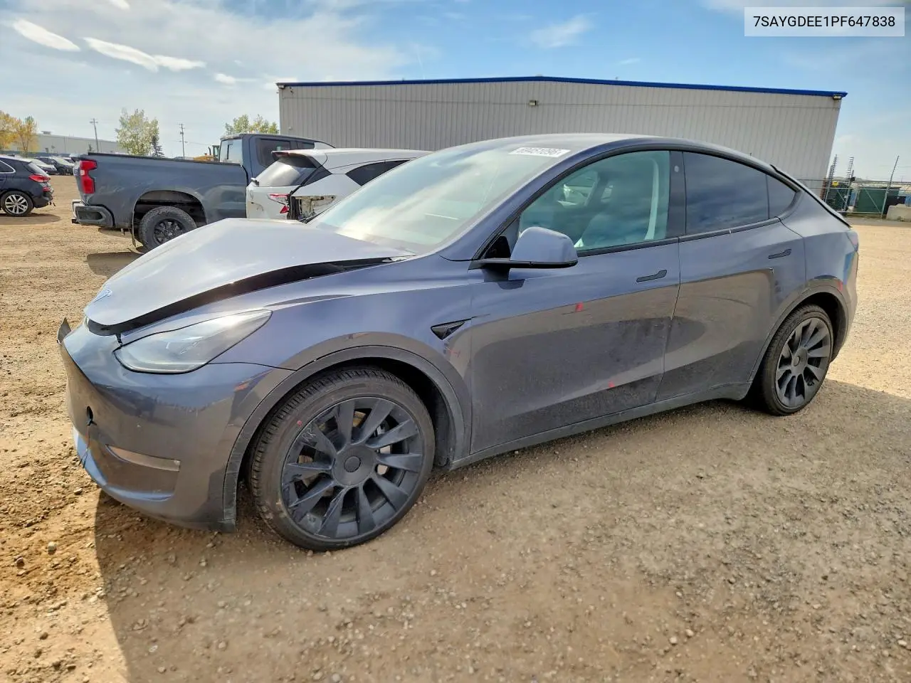 2023 Tesla Model Y