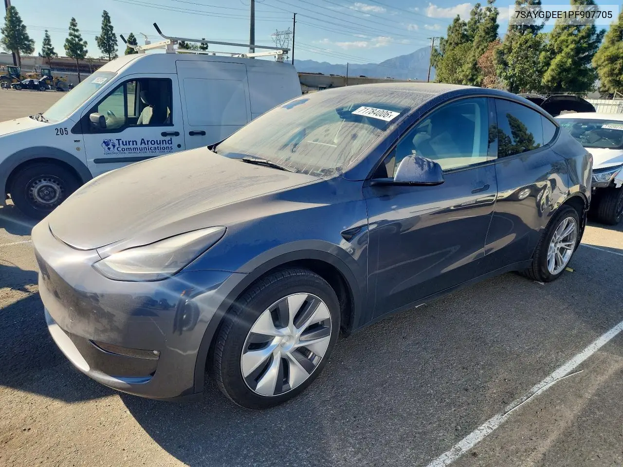 2023 Tesla Model Y