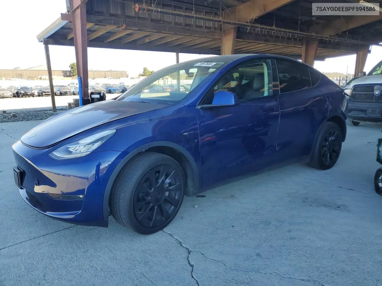 2023 Tesla Model Y