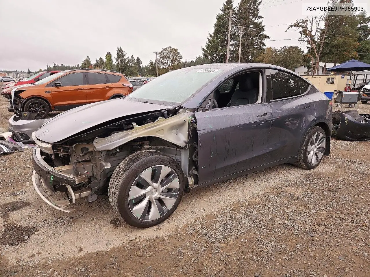 2023 Tesla Model Y