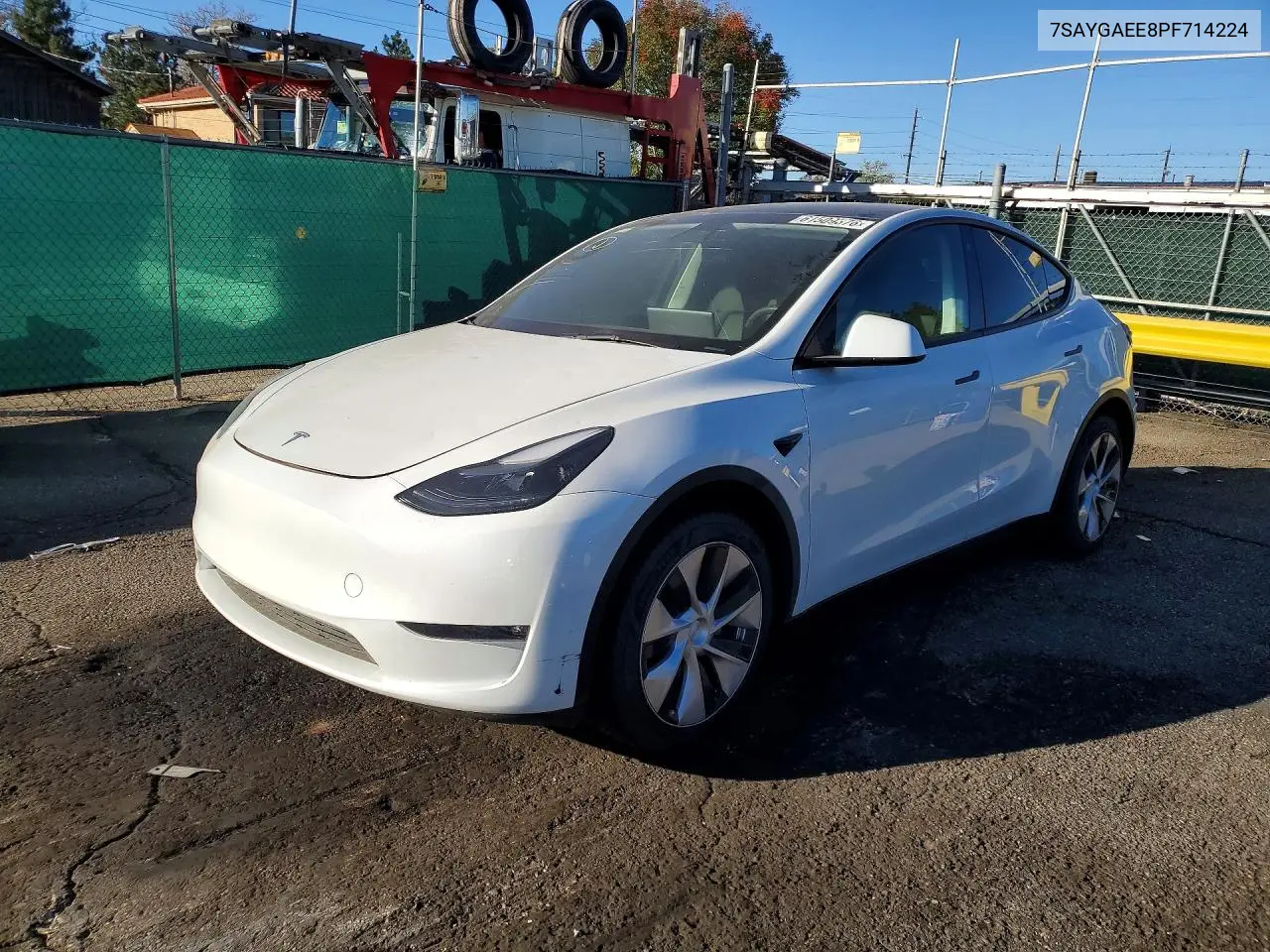 2023 Tesla Model Y
