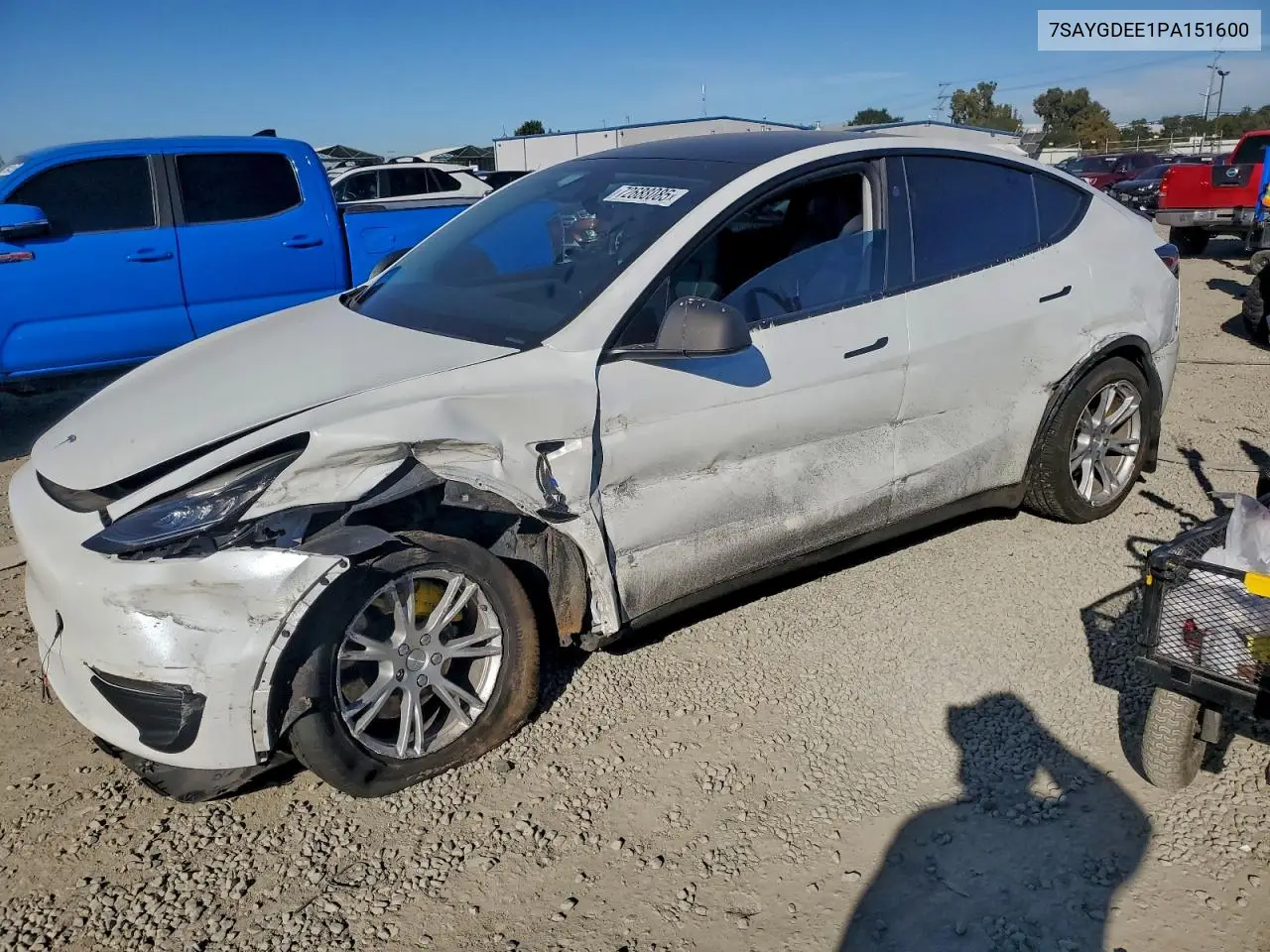 2023 Tesla Model Y