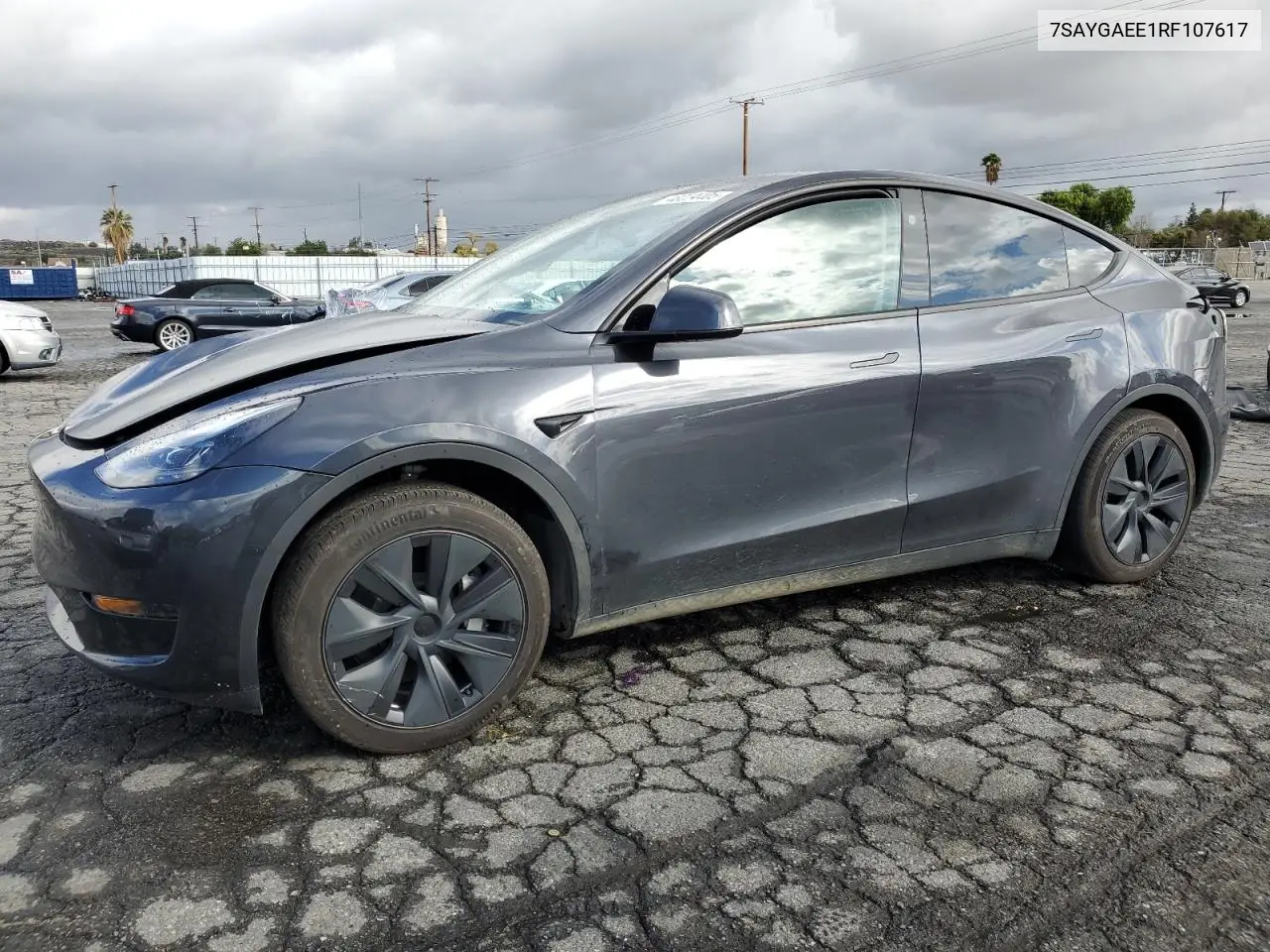 2024 Tesla Model Y