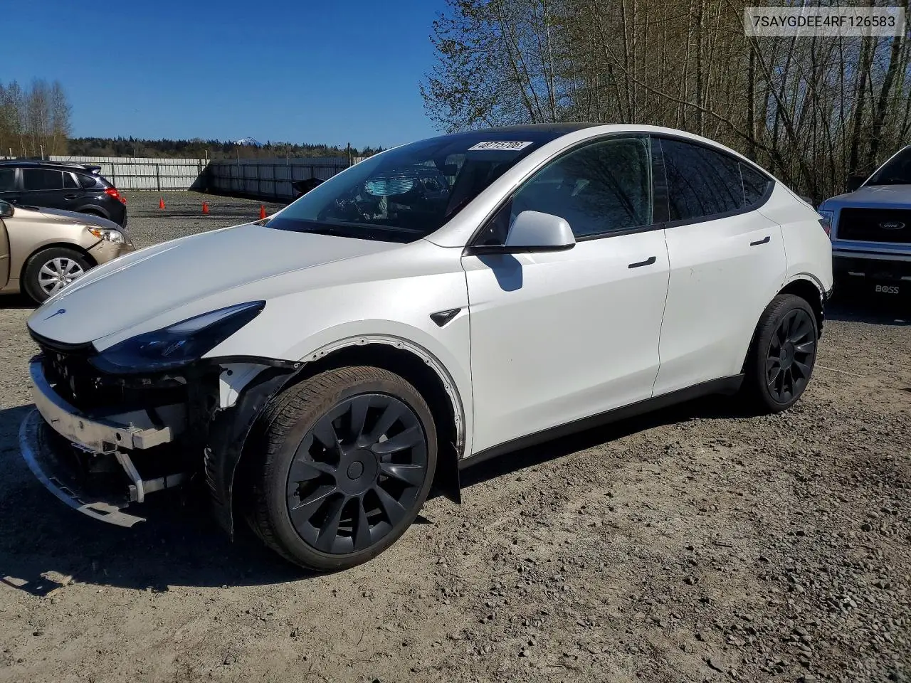 2024 Tesla Model Y