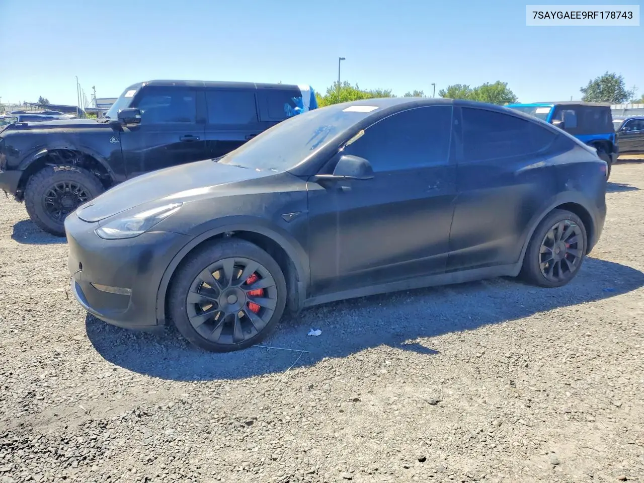 2024 Tesla Model Y