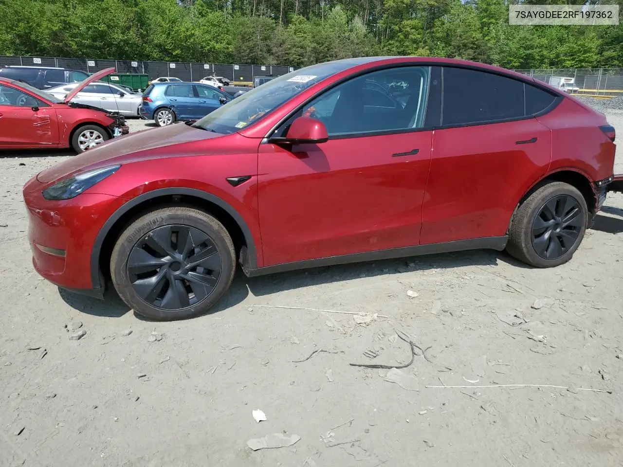 2024 Tesla Model Y
