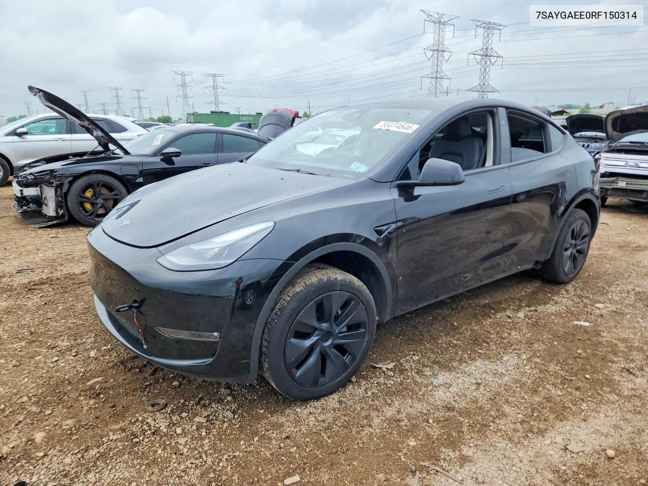 2024 Tesla Model Y