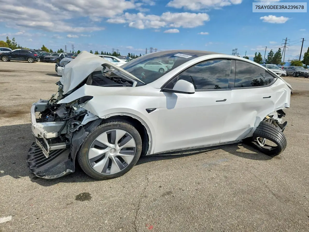 2024 Tesla Model Y