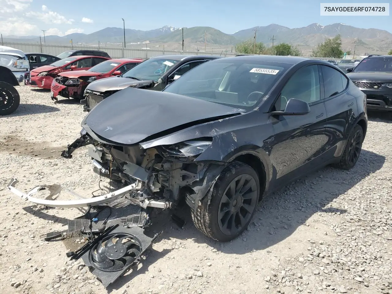 2024 Tesla Model Y