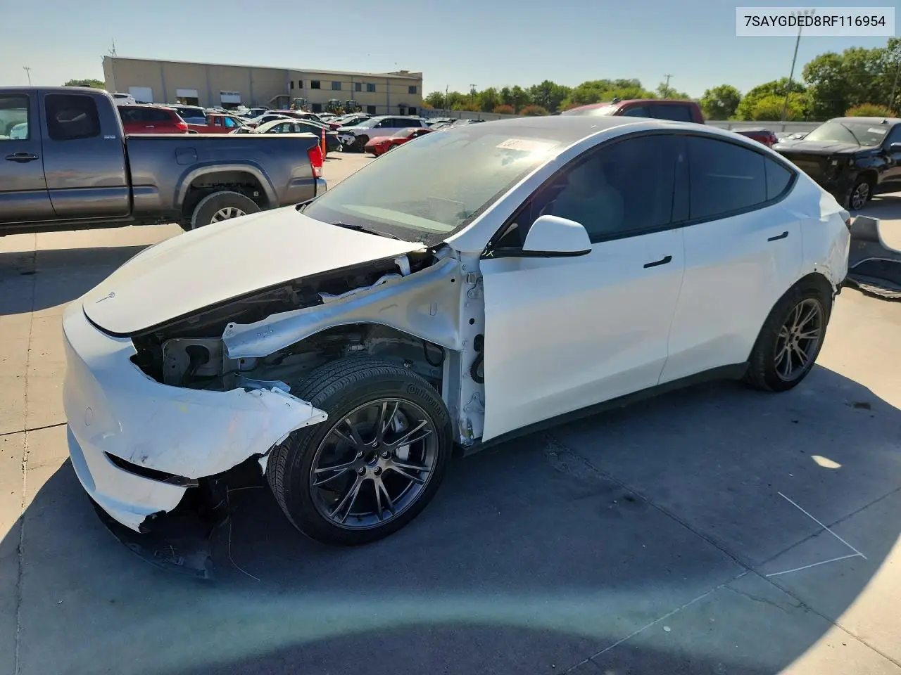 2024 Tesla Model Y