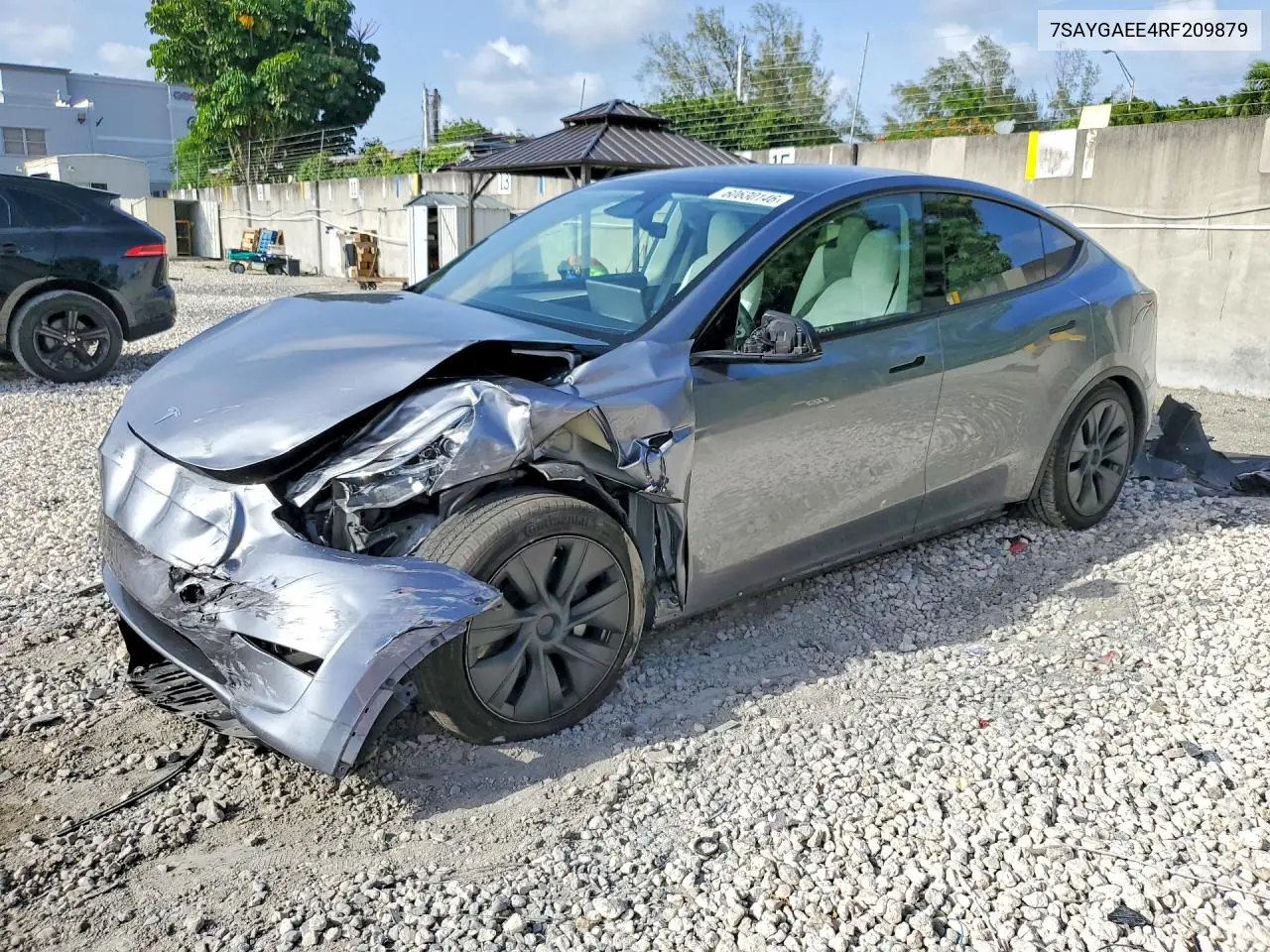 2024 Tesla Model Y