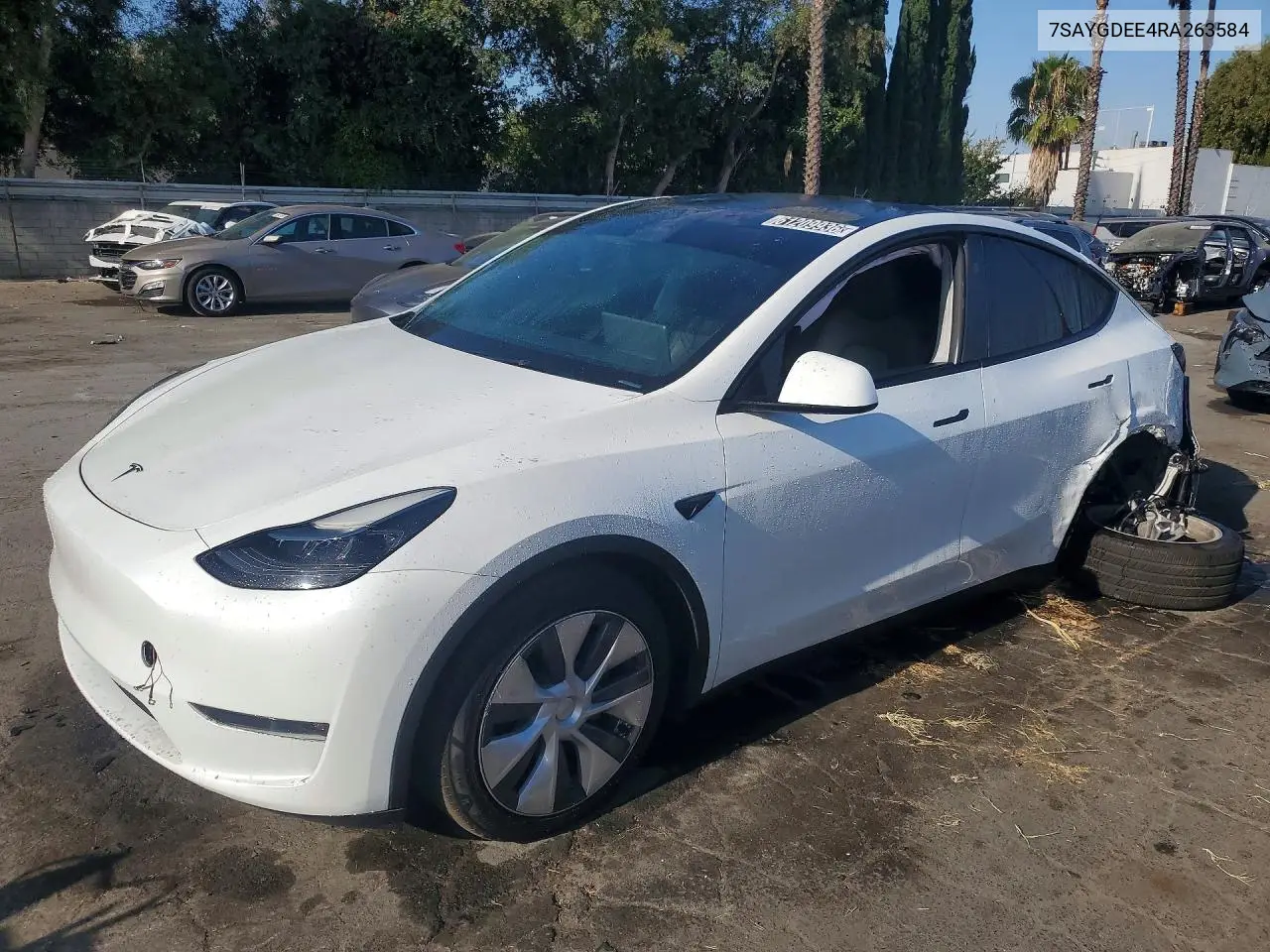 2024 Tesla Model Y