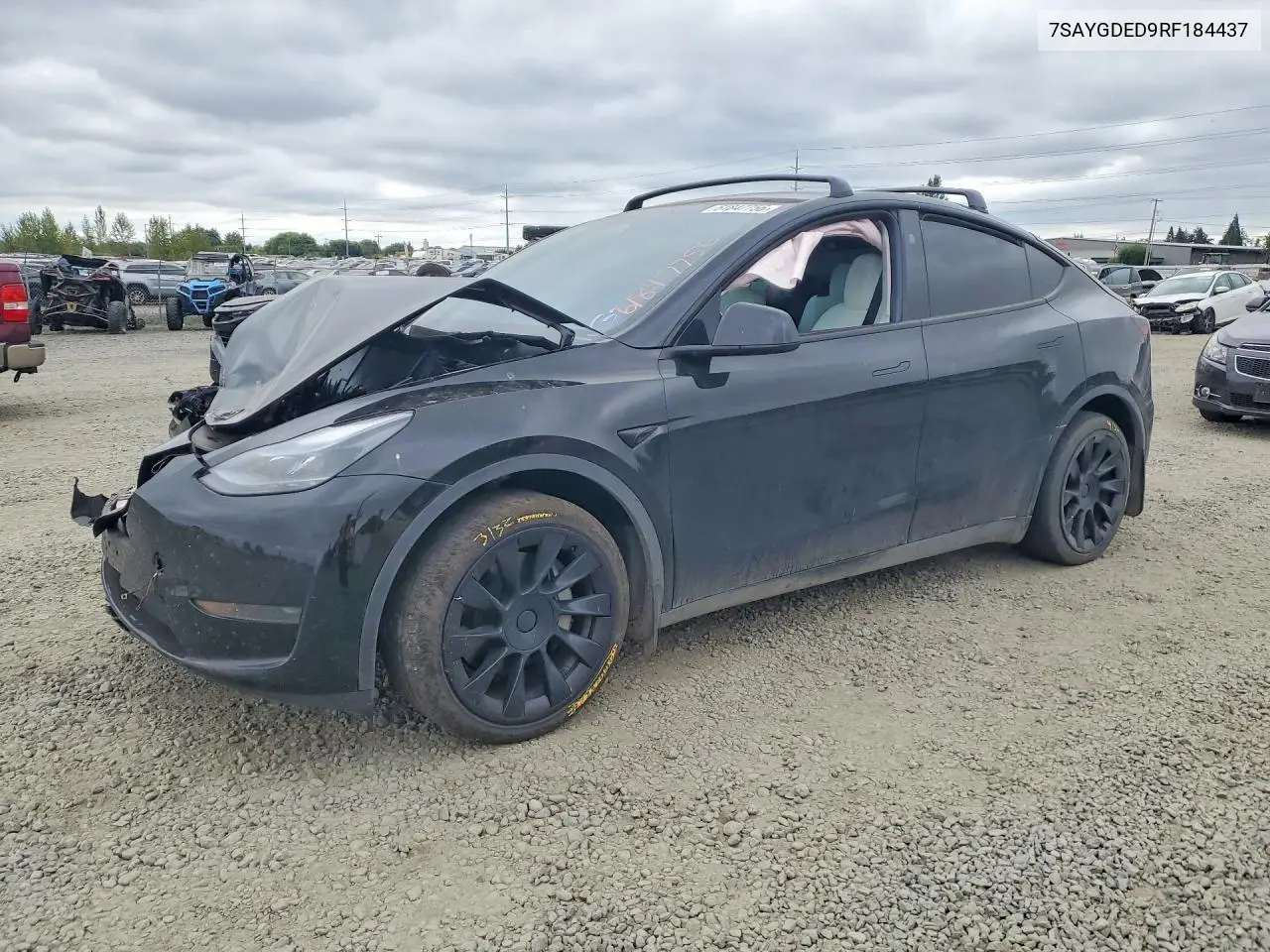 2024 Tesla Model Y