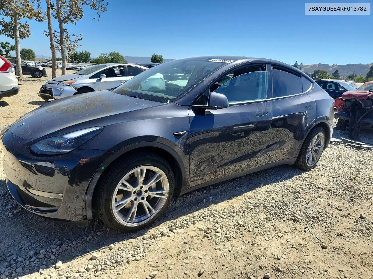 2024 Tesla Model Y