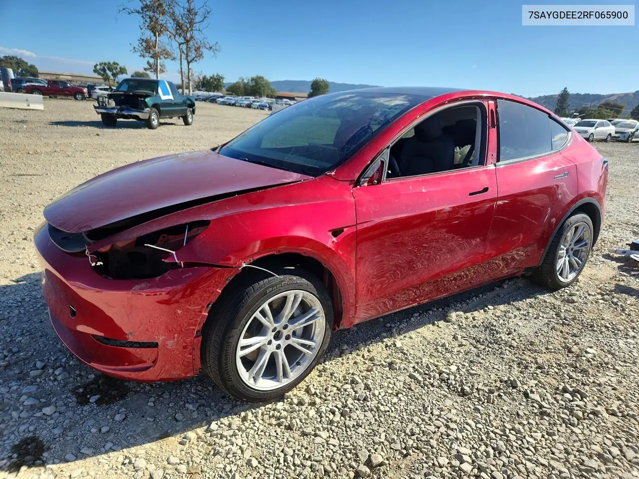 2024 Tesla Model Y