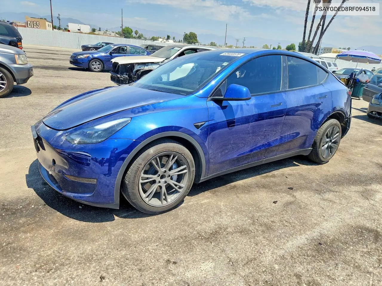 2024 Tesla Model Y