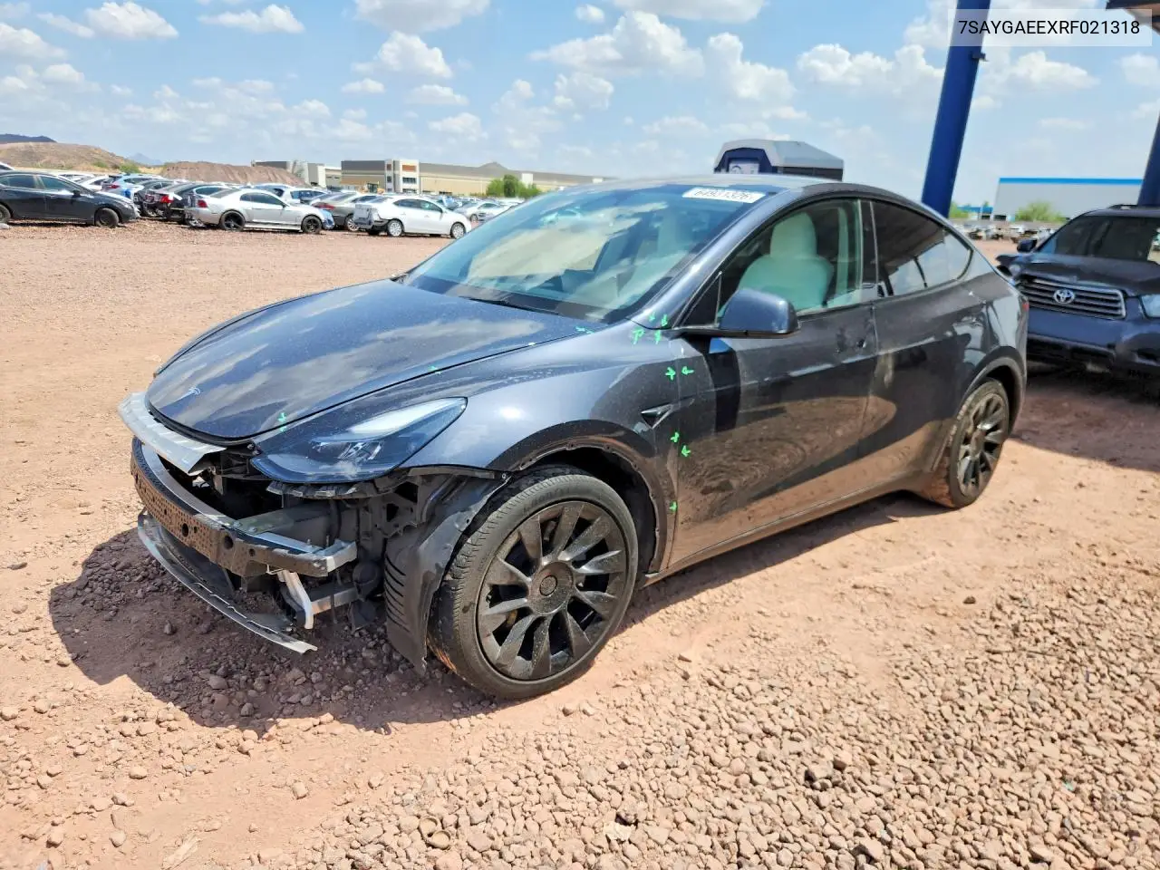 2024 Tesla Model Y