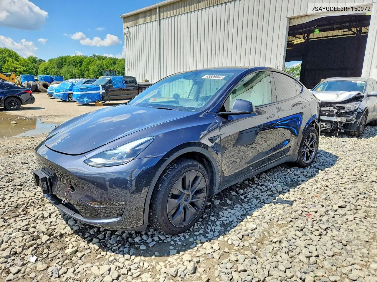 2024 Tesla Model Y