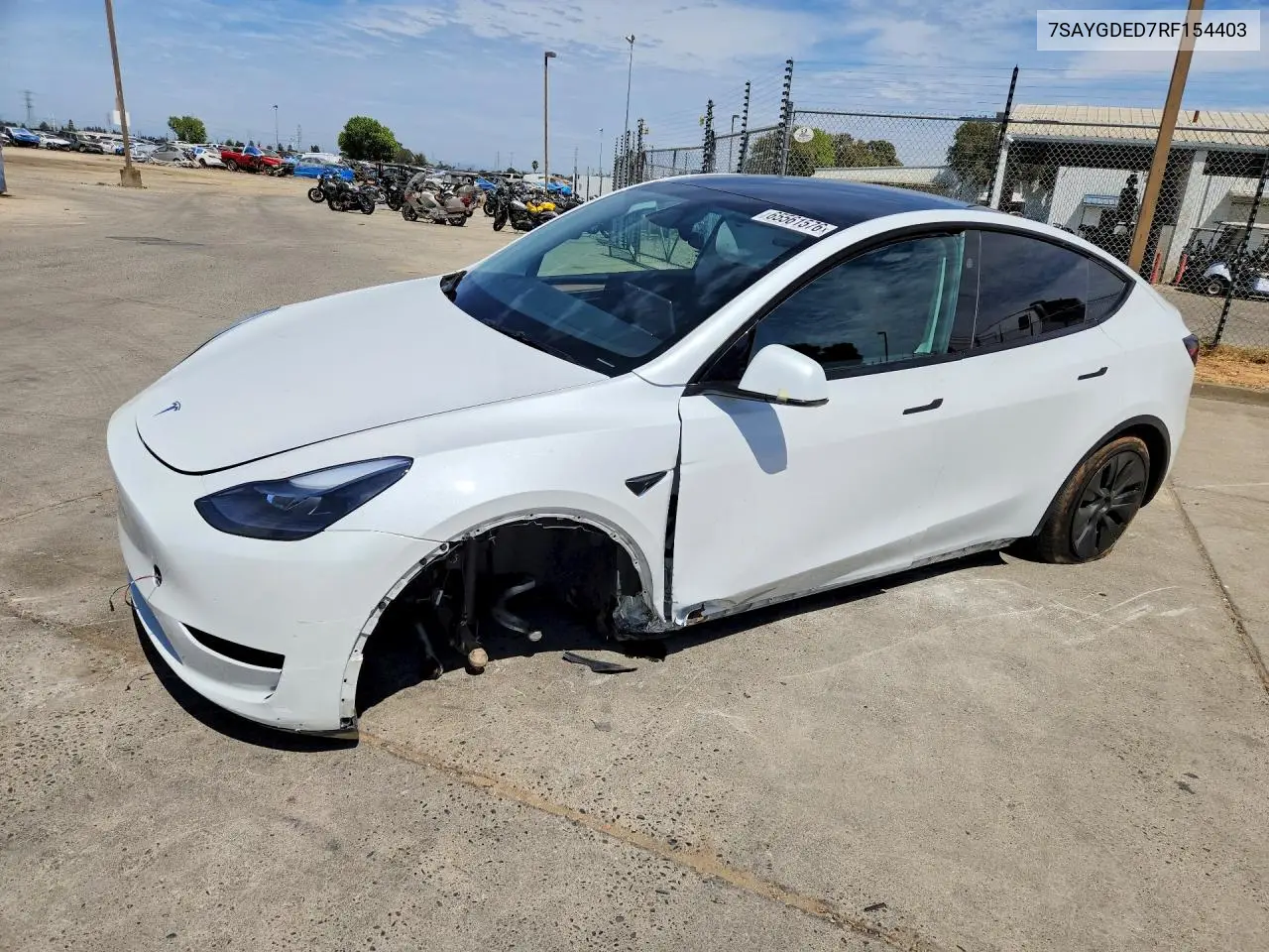 2024 Tesla Model Y