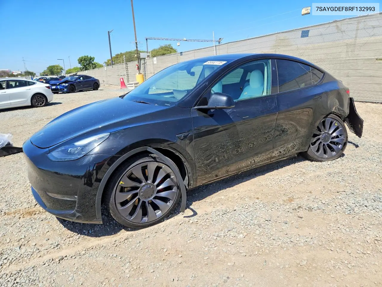 2024 Tesla Model Y