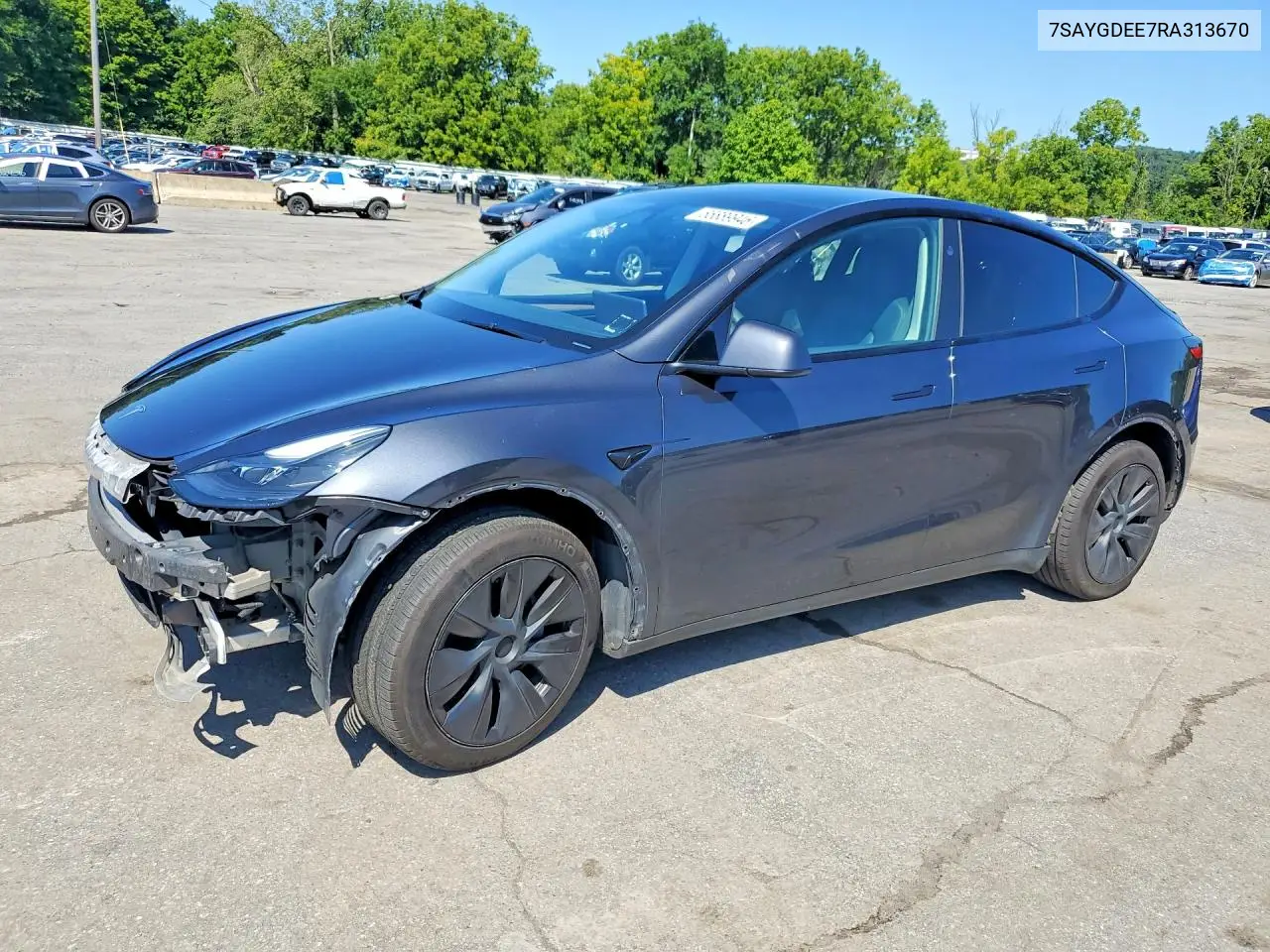 2024 Tesla Model Y