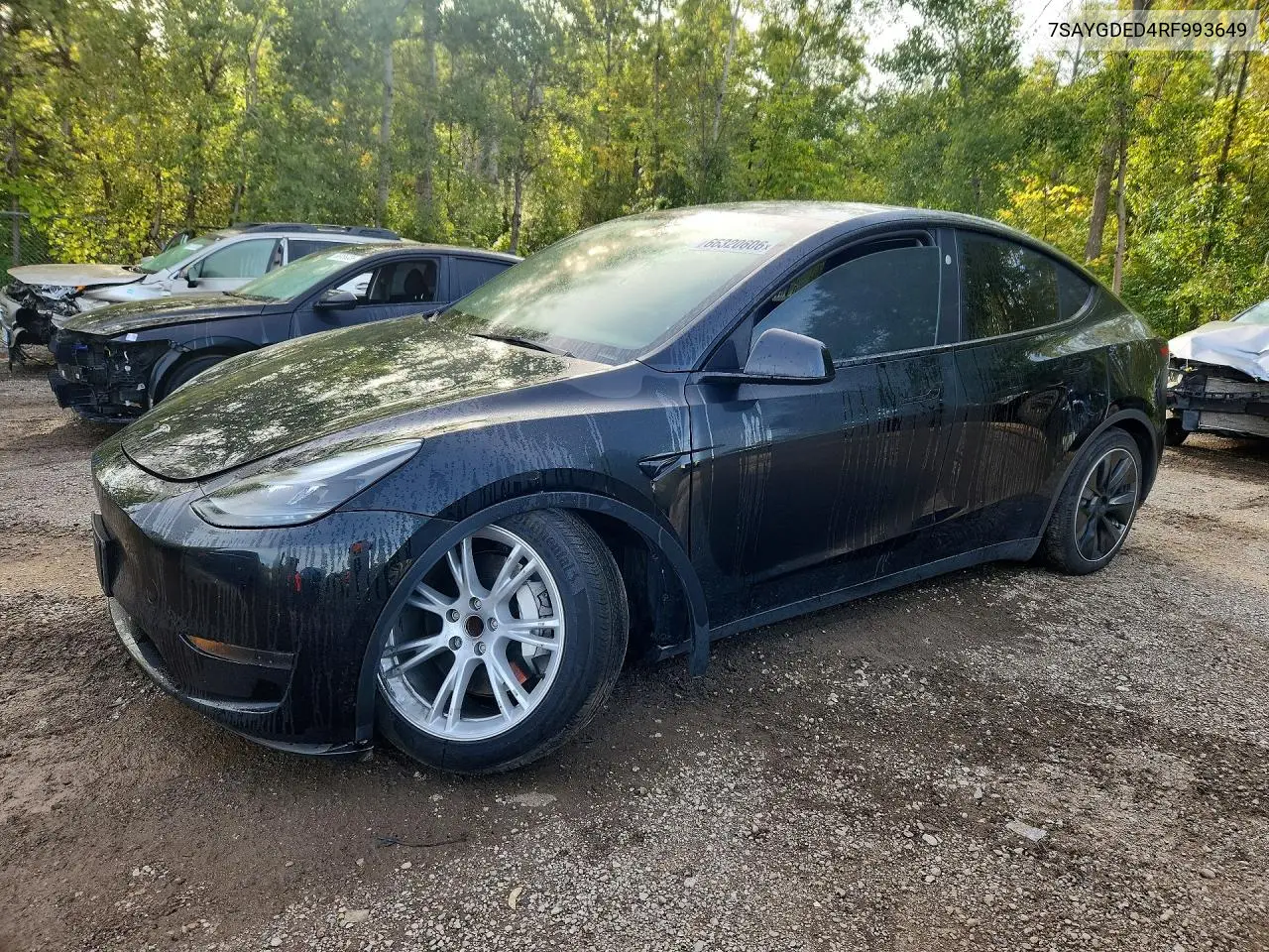 2024 Tesla Model Y
