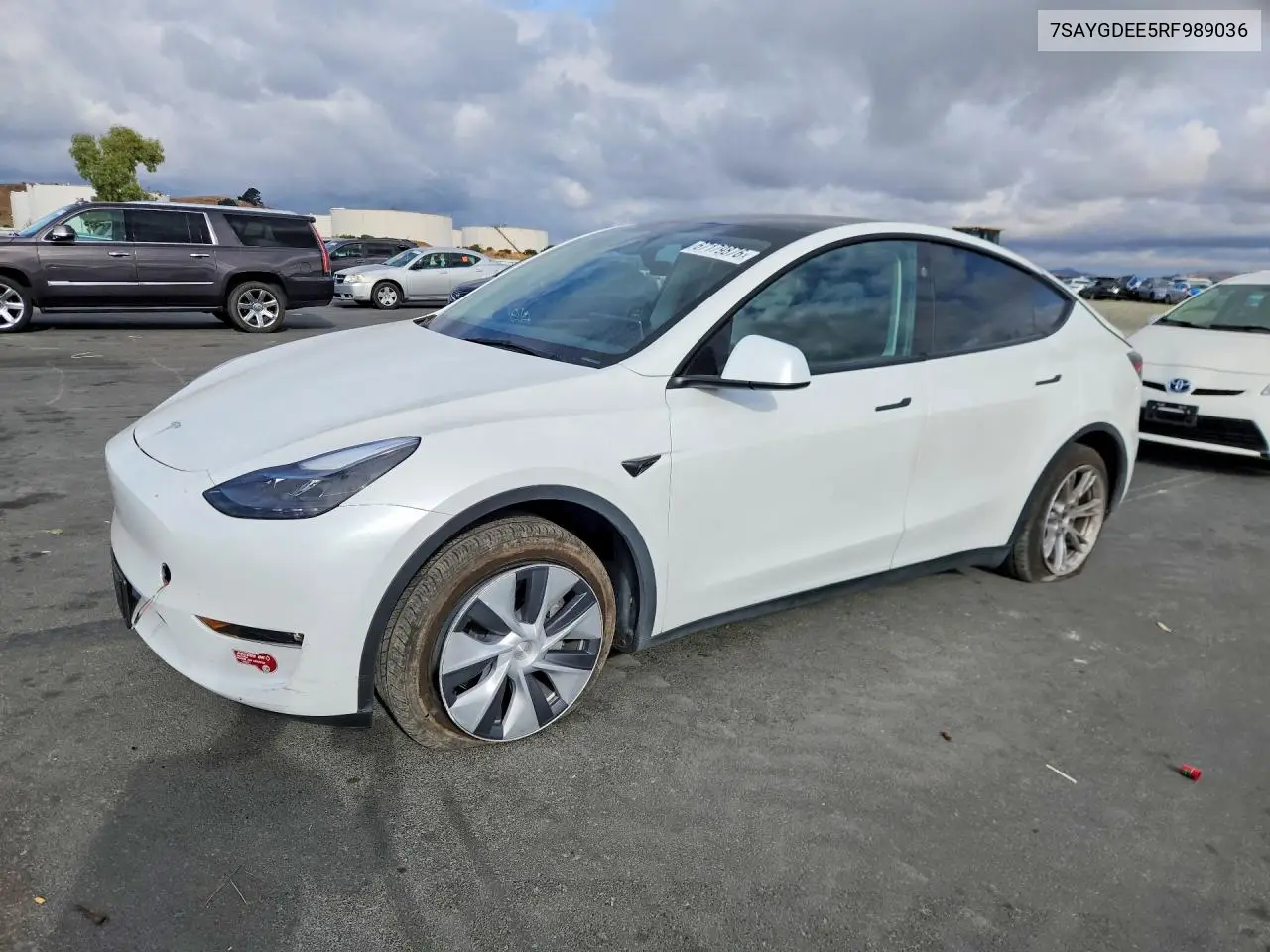 2024 Tesla Model Y