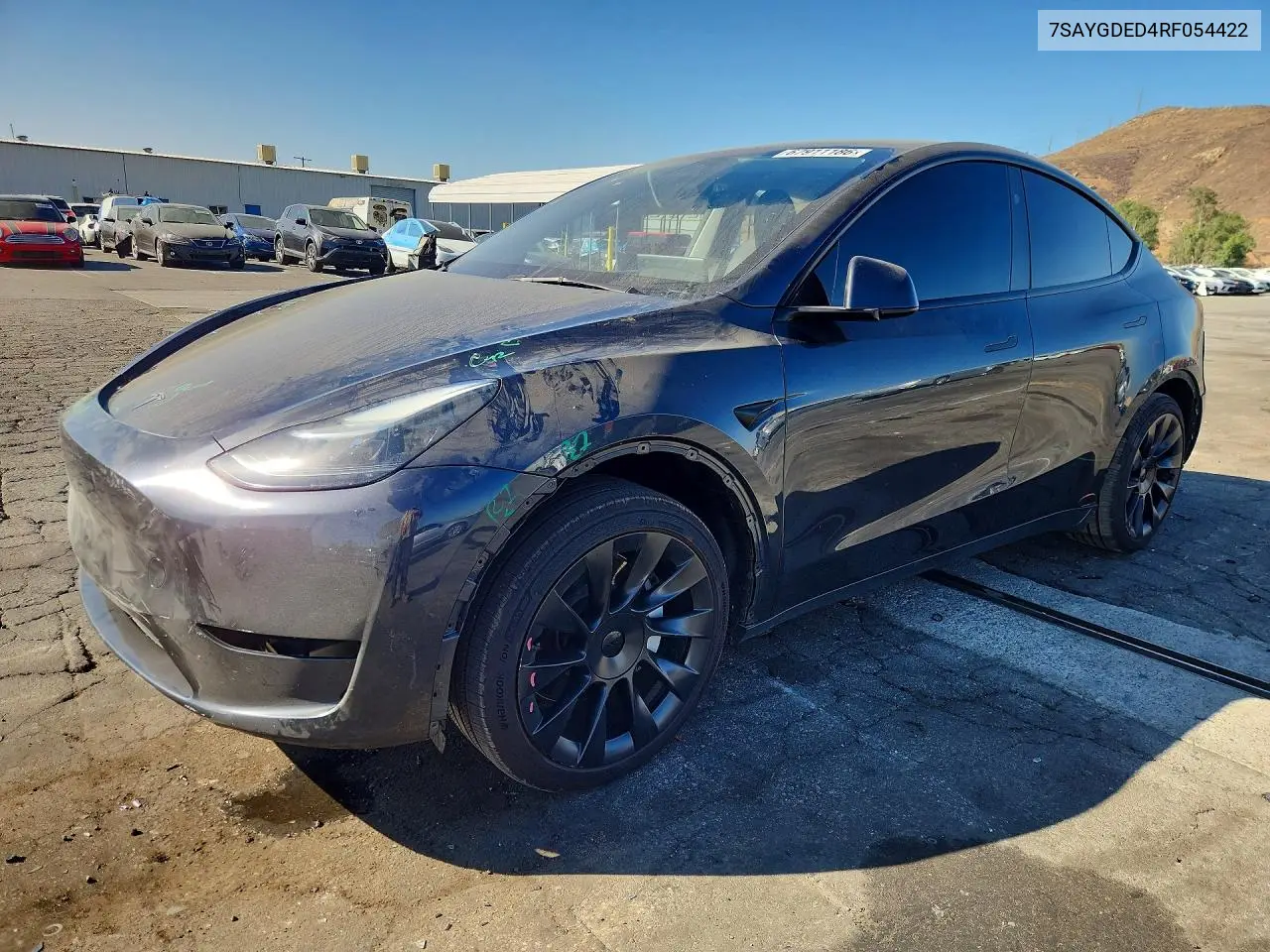 2024 Tesla Model Y