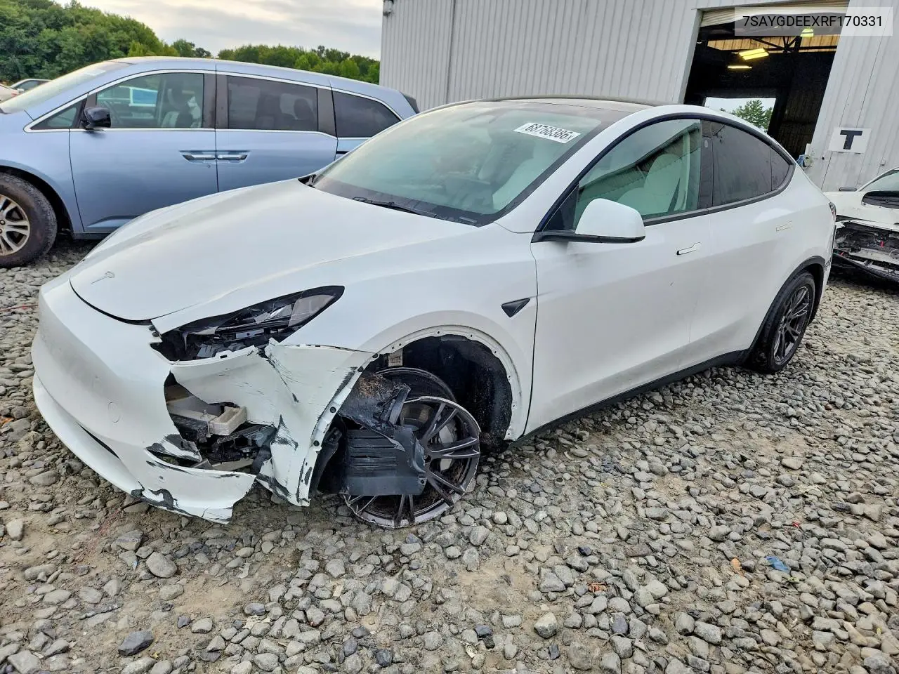 2024 Tesla Model Y