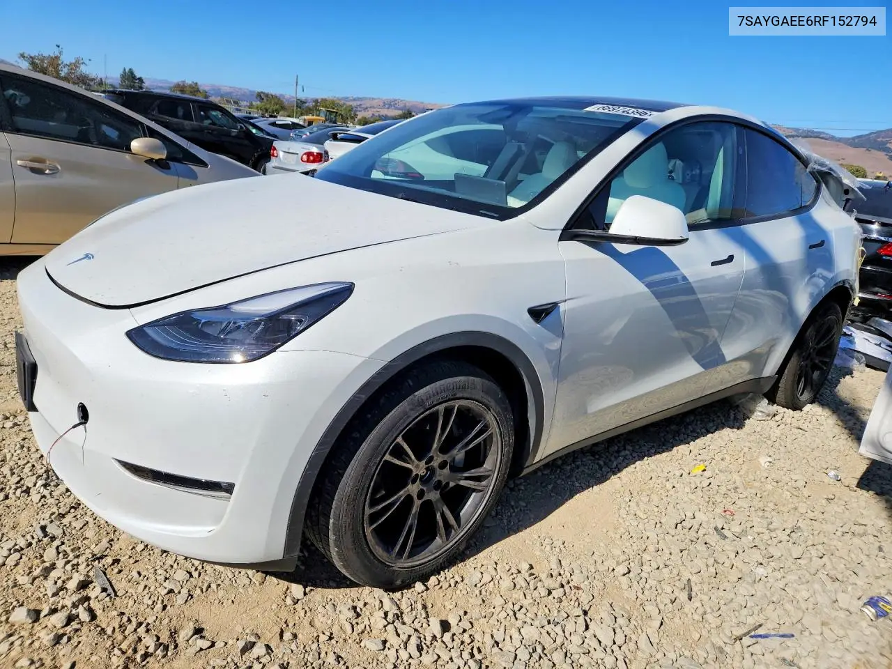 2024 Tesla Model Y