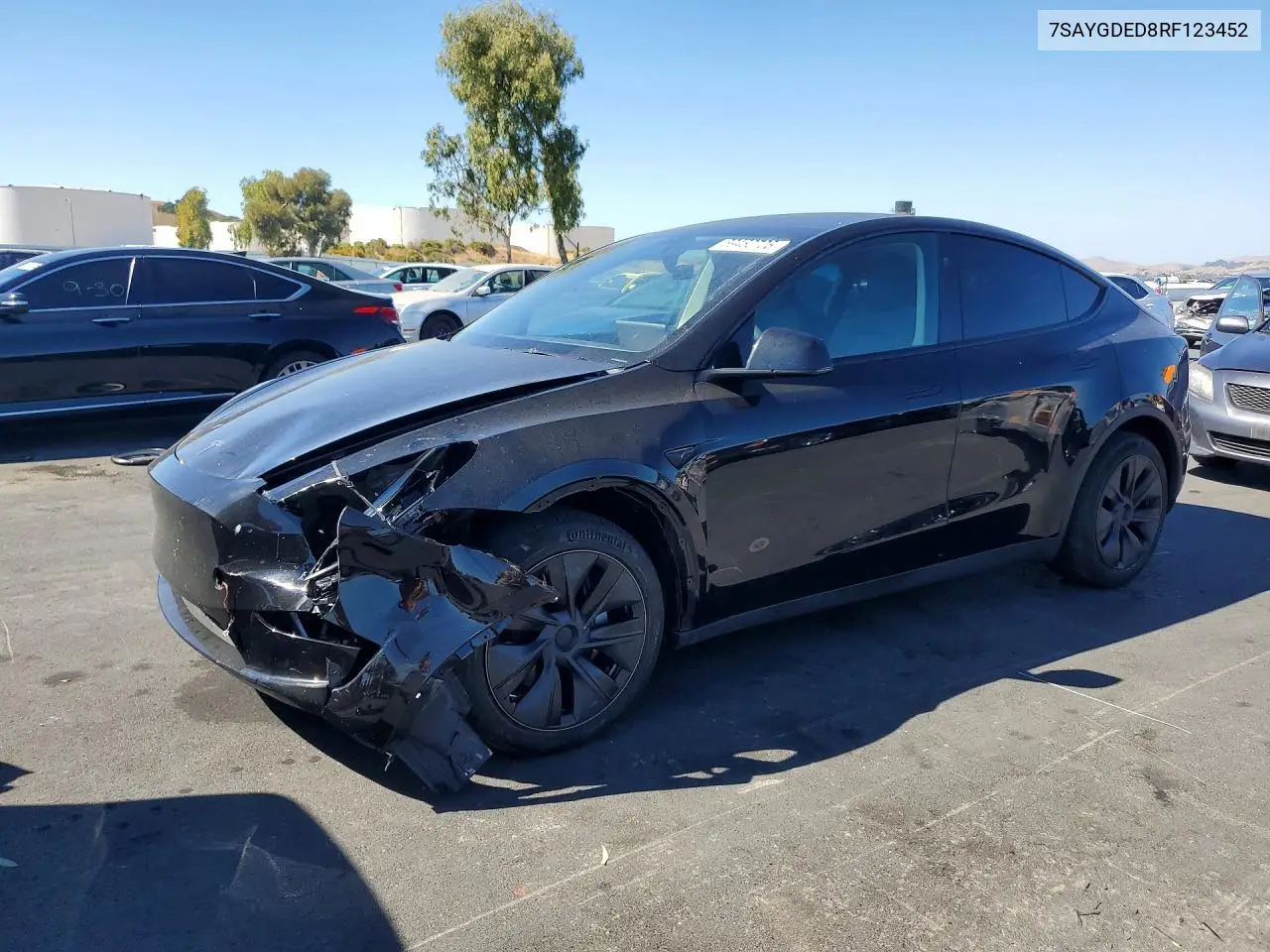 2024 Tesla Model Y