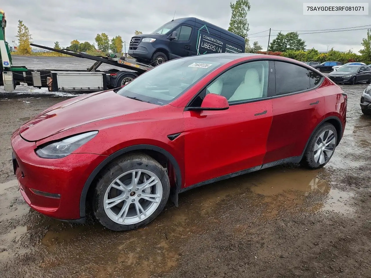 2024 Tesla Model Y