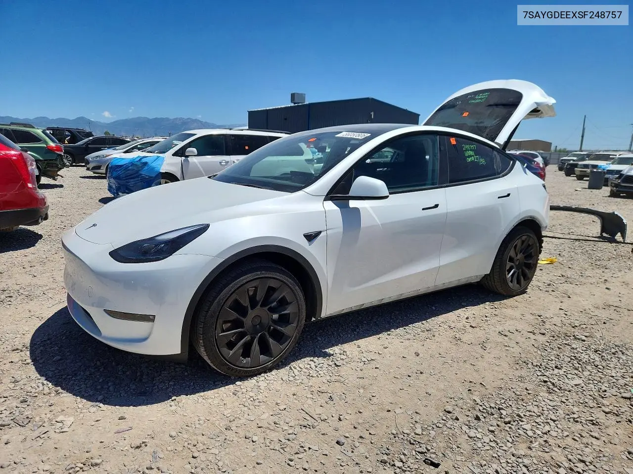 2025 Tesla Model Y
