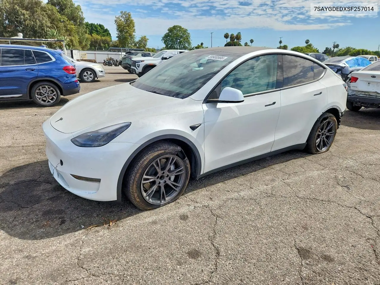 2025 Tesla Model Y