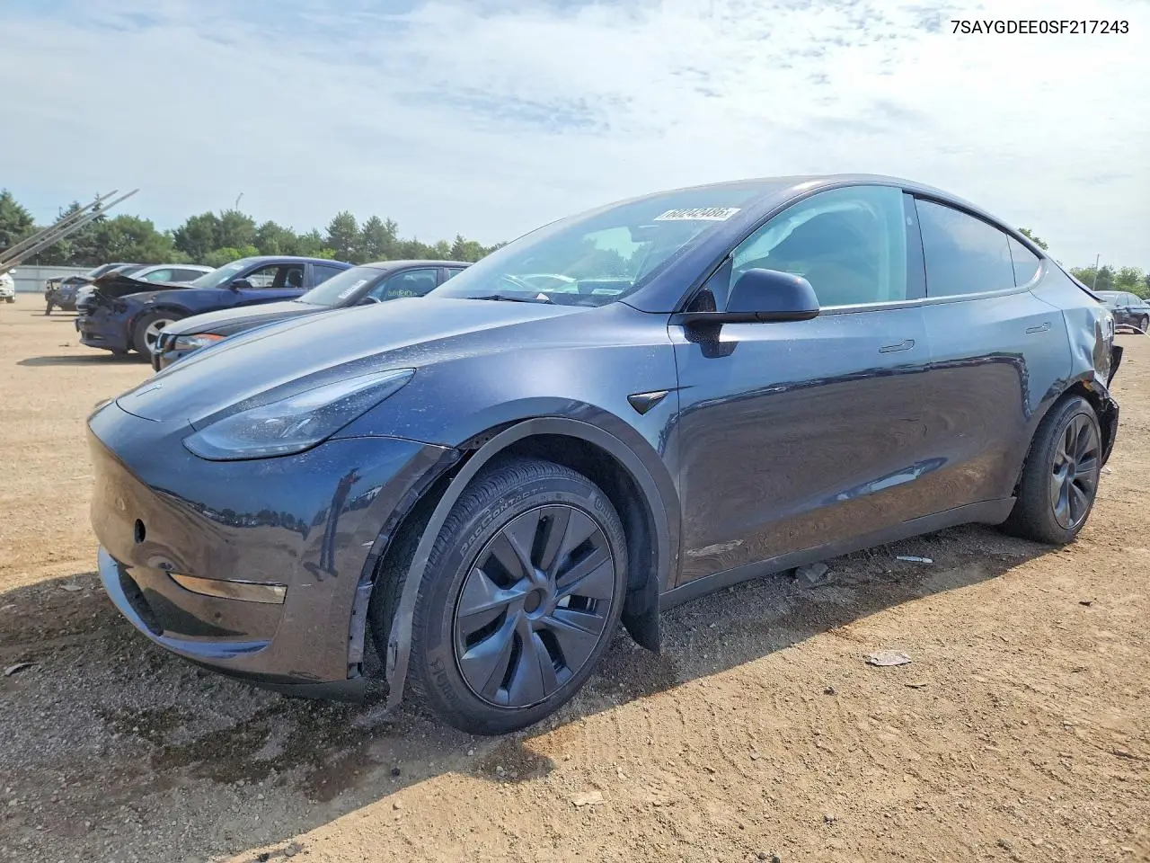 2025 Tesla Model Y