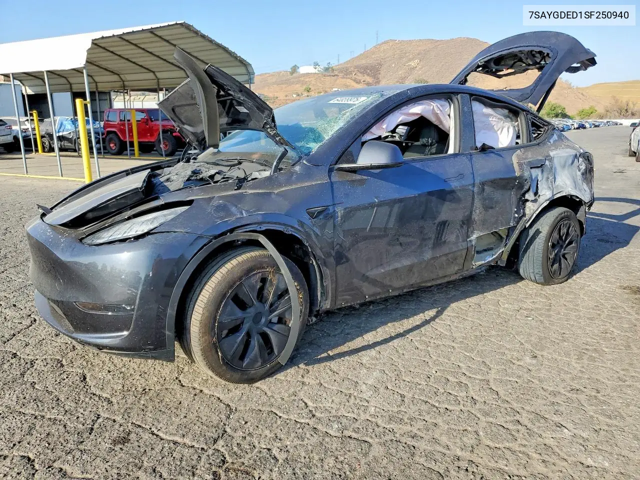 2025 Tesla Model Y