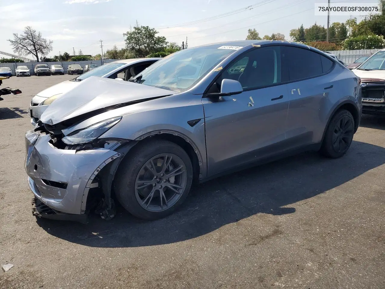 2025 Tesla Model Y