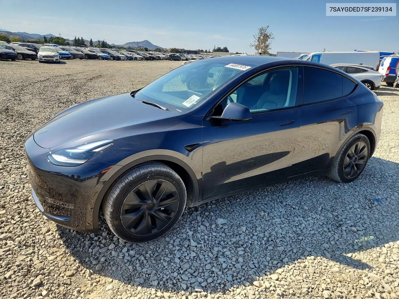 2025 Tesla Model Y