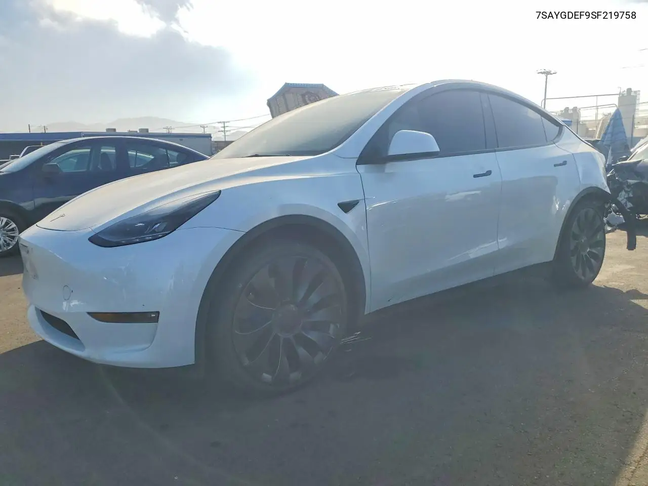 2025 Tesla Model Y