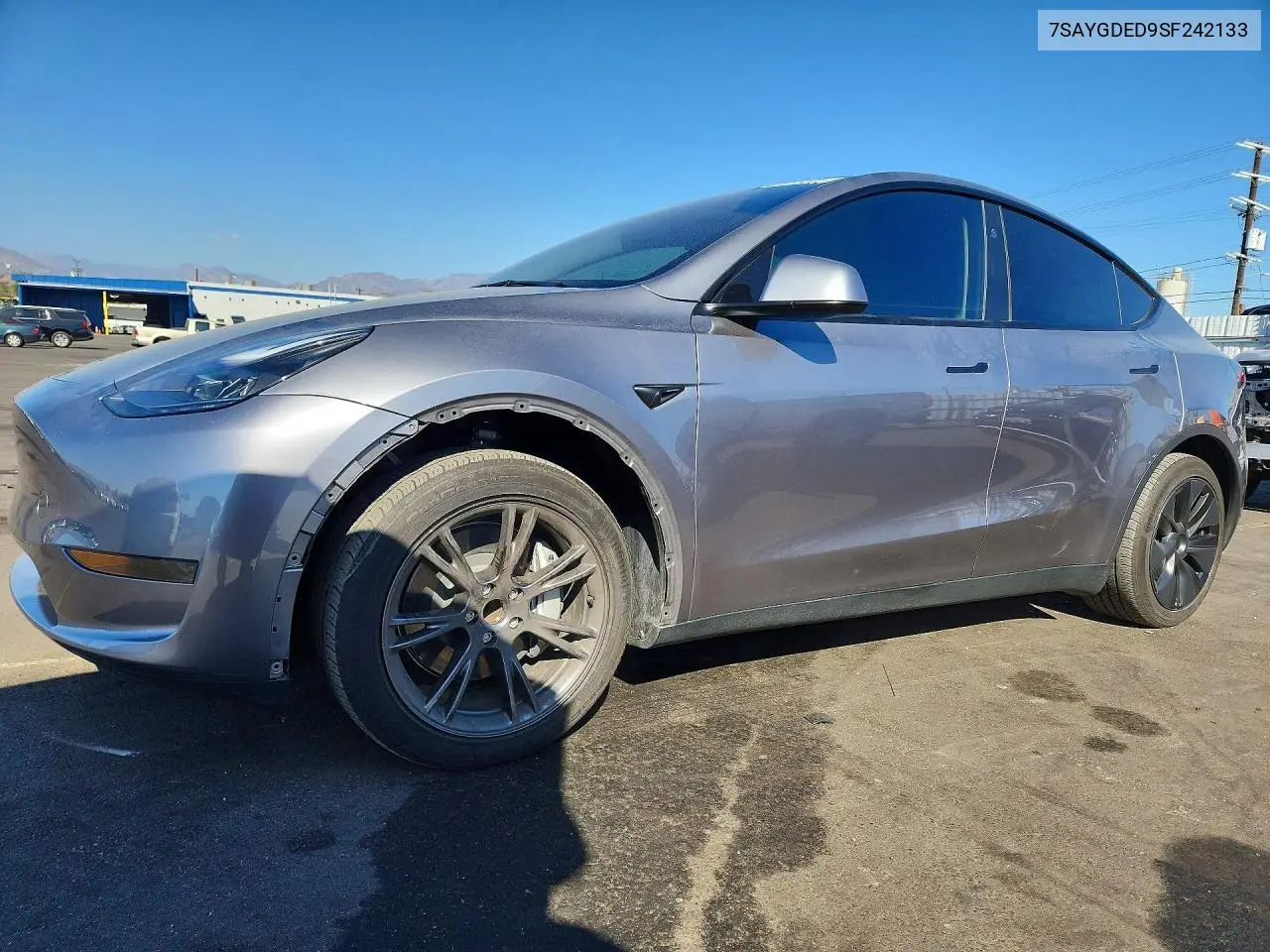 2025 Tesla Model Y