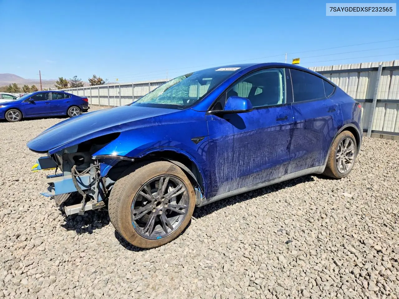 2025 Tesla Model Y
