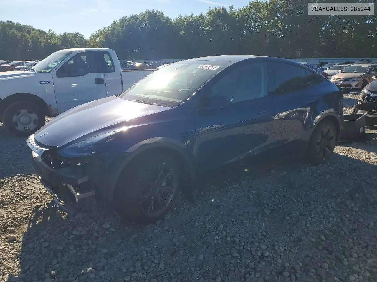 2025 Tesla Model Y