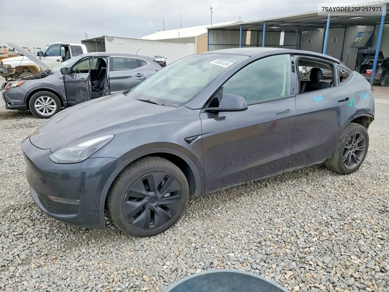 2025 Tesla Model Y